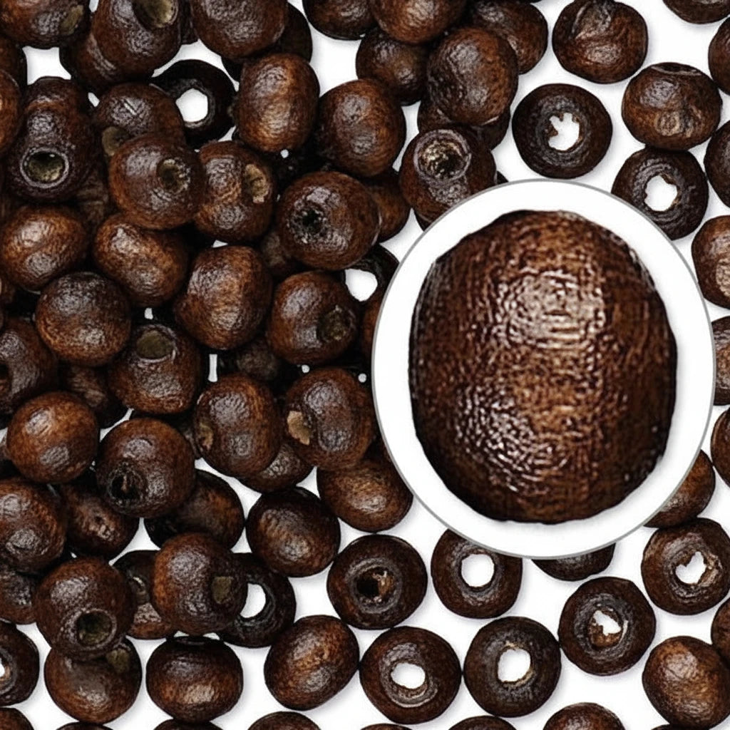 Dark Brown Boxwood Rondelle Beads 6x5mm, Dyed & Waxed — 500 pcs