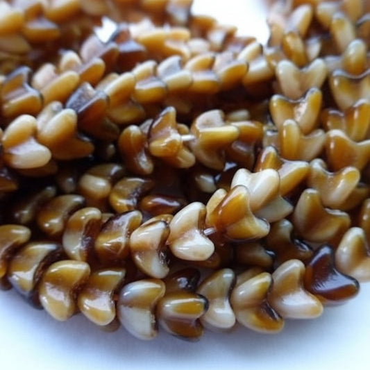A close-up of glossy, bead-CAP brown and cream pieces piled together on a white background.
