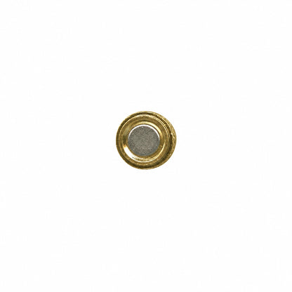 A small round gold-toned button or stud with a textured silver-gray center, isolated on a plain white background.