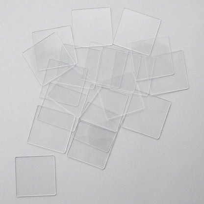 GLASS SLIDES
