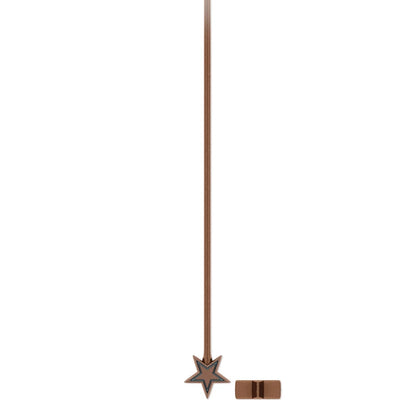 A slim brown leather cord accessory with a star-shaped metal end and a small rectangular metal connector, shown on a plain white background.