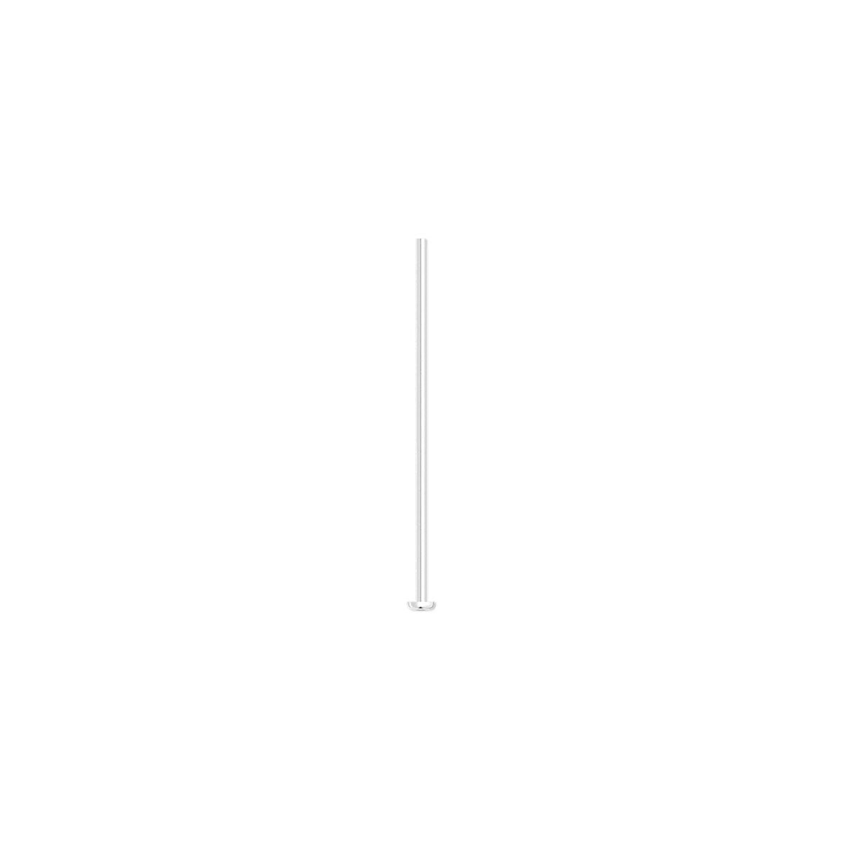 A single, thin, vertical silver metal rod with a small circular base, centered on a solid white background.