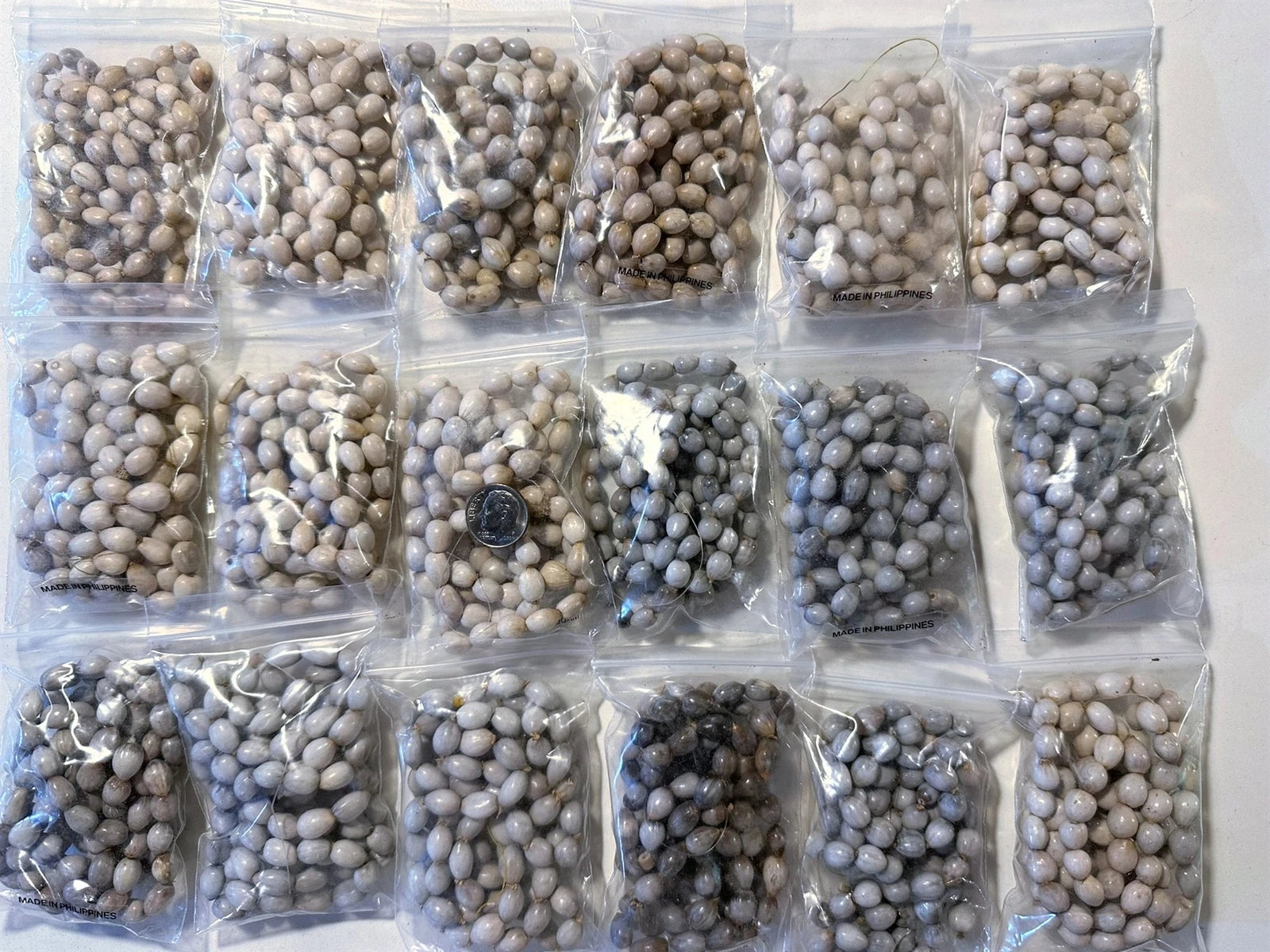 Multiple packages of what appears to be Job's tears beads on a white background