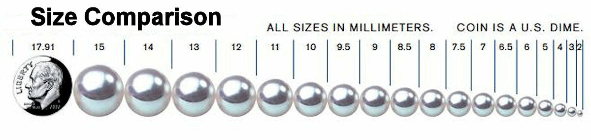 Mussel Shell 10mm Round Coin Drop Charms, 100 pcs
