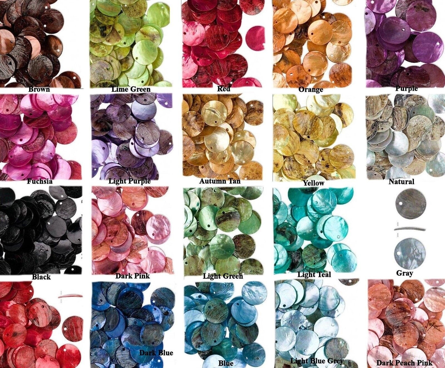 Mussel Shell 10mm Round Coin Drop Charms, 100 pcs