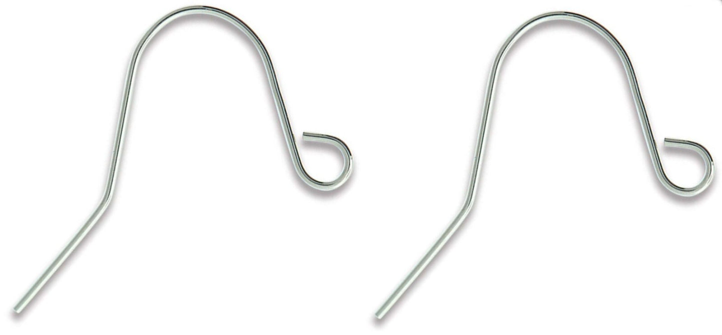 316L Stainless Steel 23mm Fish Hook Ear Wires with Open Loop, 21 Gauge, 144 pcs