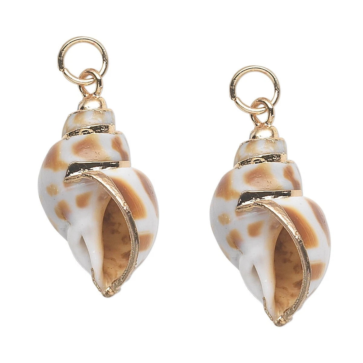 Natural Areola Shell Focal Pendants with Gold Accents & Jump Ring, 25x15mm - 2 pcs