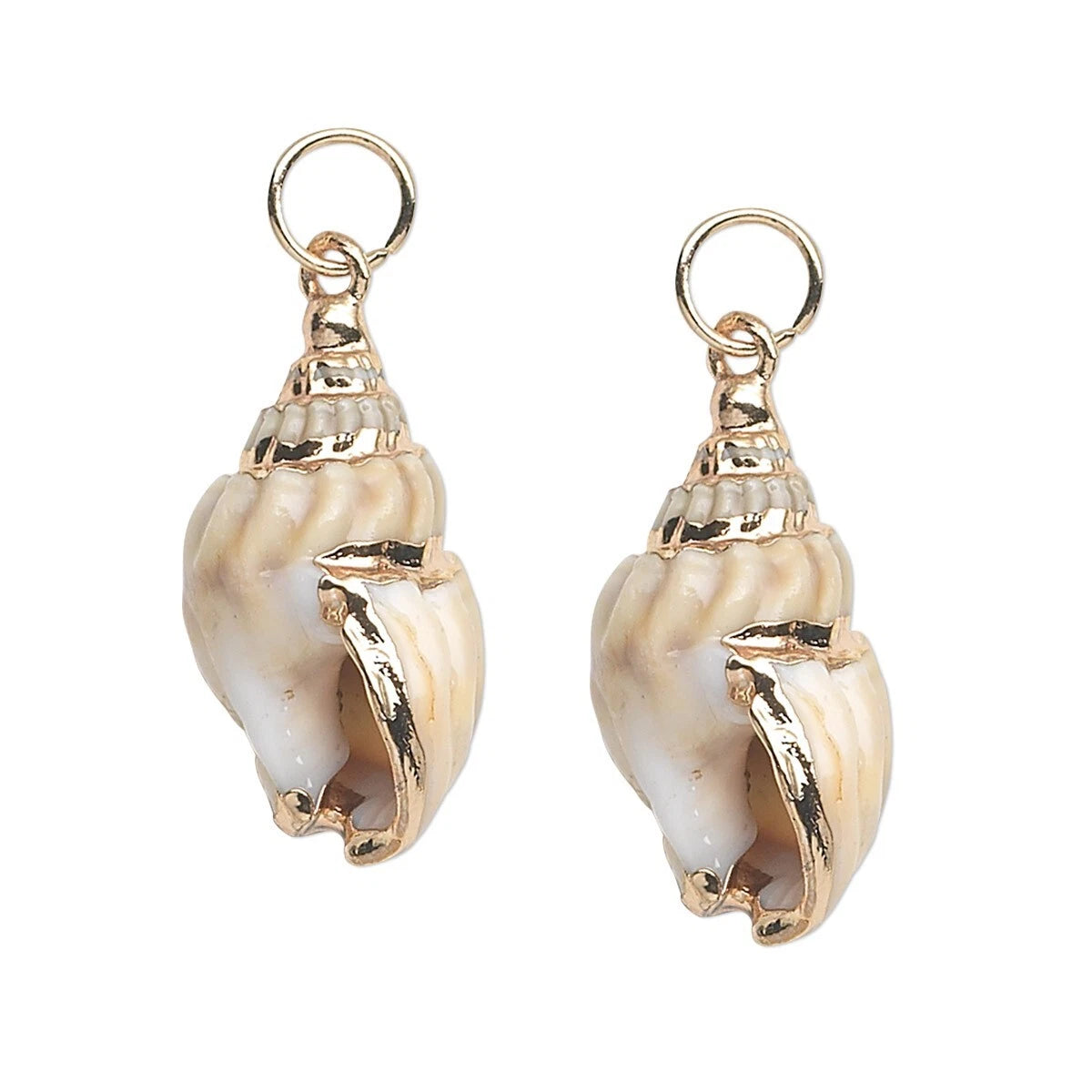 Natural Nassa Shell Gold Accent Focal Charms, 31x17mm - 2 pcs