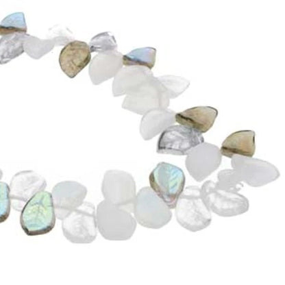 Czech Pressed Glass Wavy Leaf Beads, Winter Mix, 14x9x4mm, 1 Strand (approx. 50 pcs)