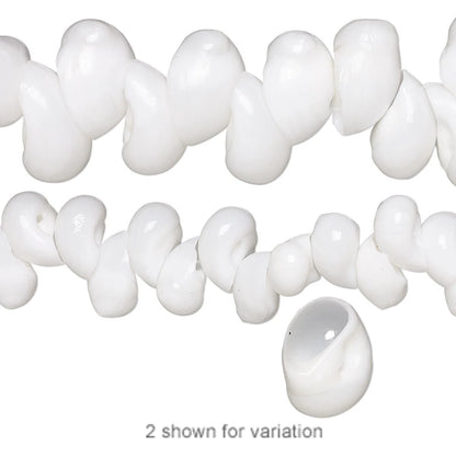 Natural White Moon Sea Shell Beads, 13x8–22x13mm, 1 Strand (approx. 40–68)