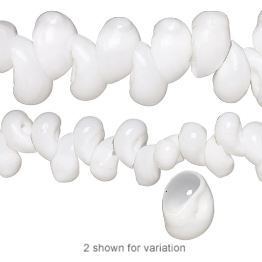 Natural White Moon Sea Shell Beads, 13x8–22x13mm, 1 Strand (approx. 40–68)